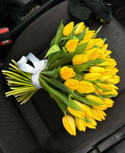 50 Yellow Tulips