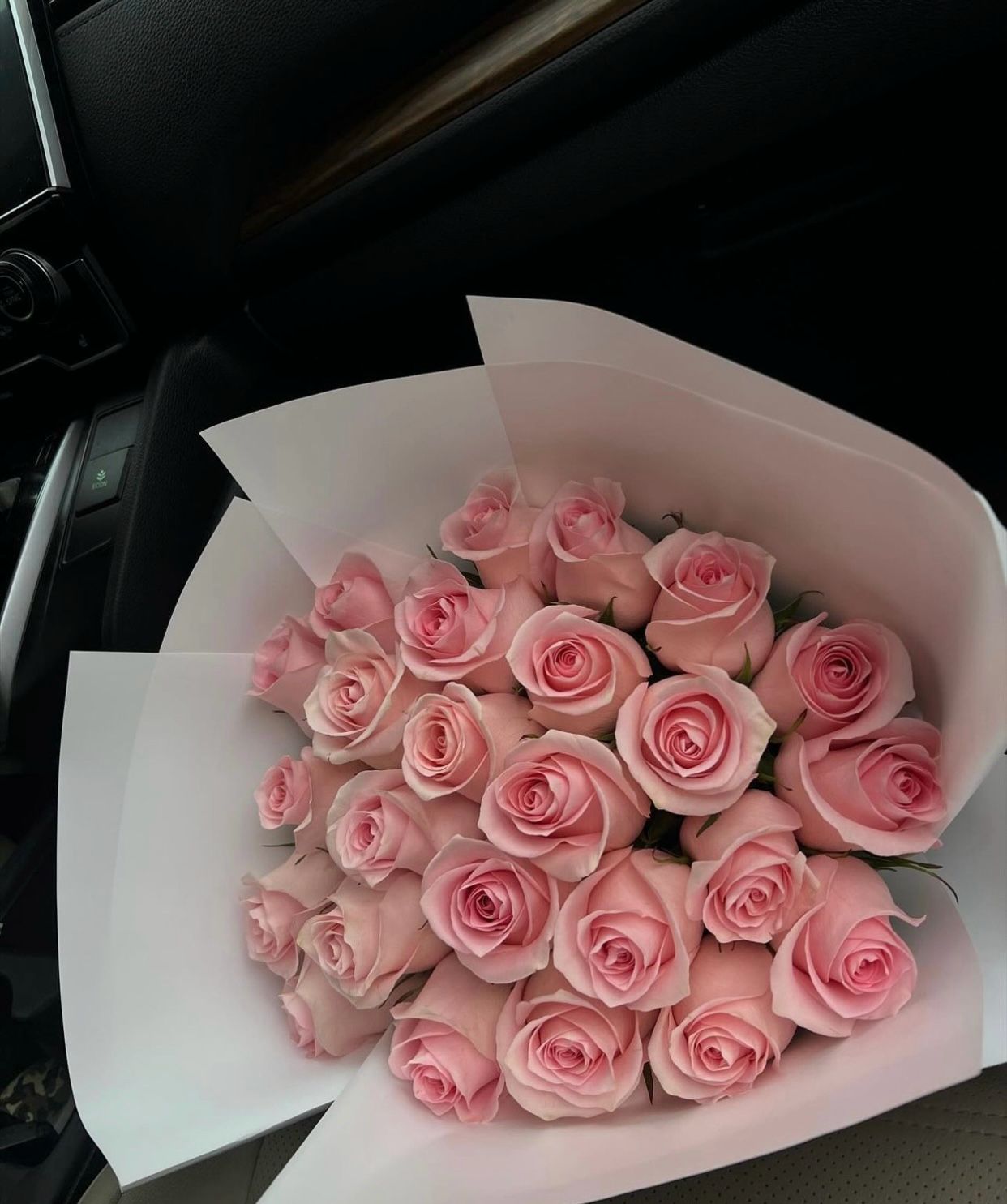 Bouquet 25 pink roses