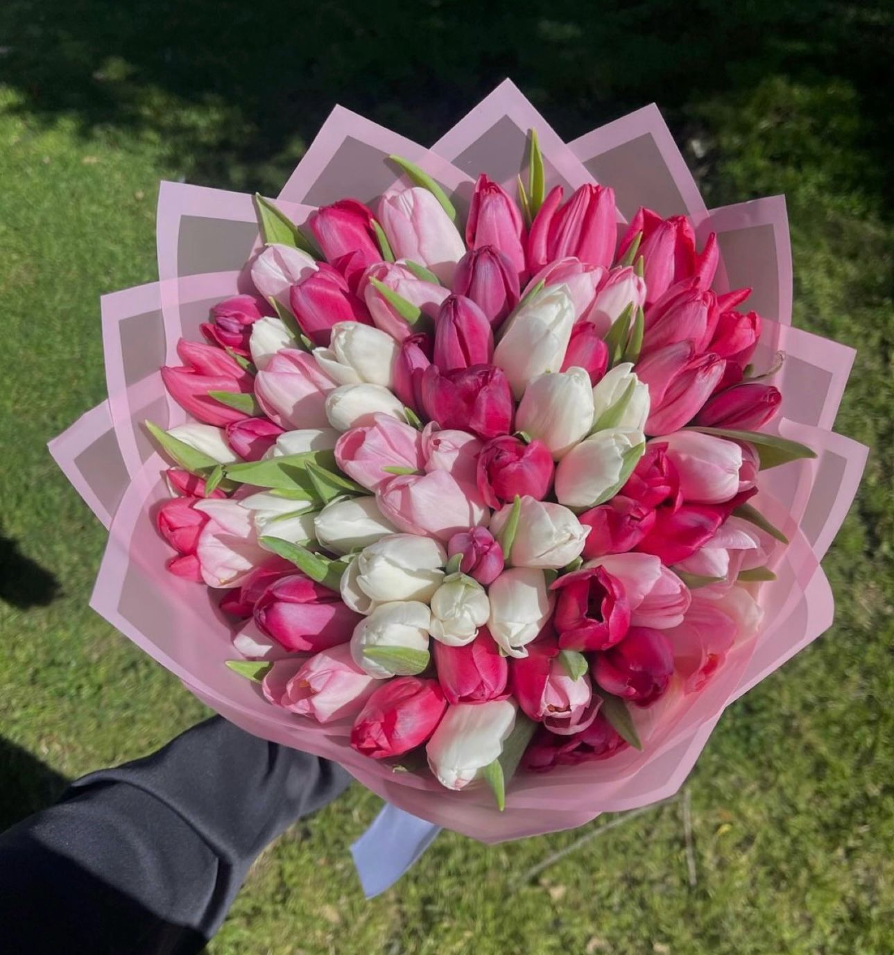 Mixed Tulips