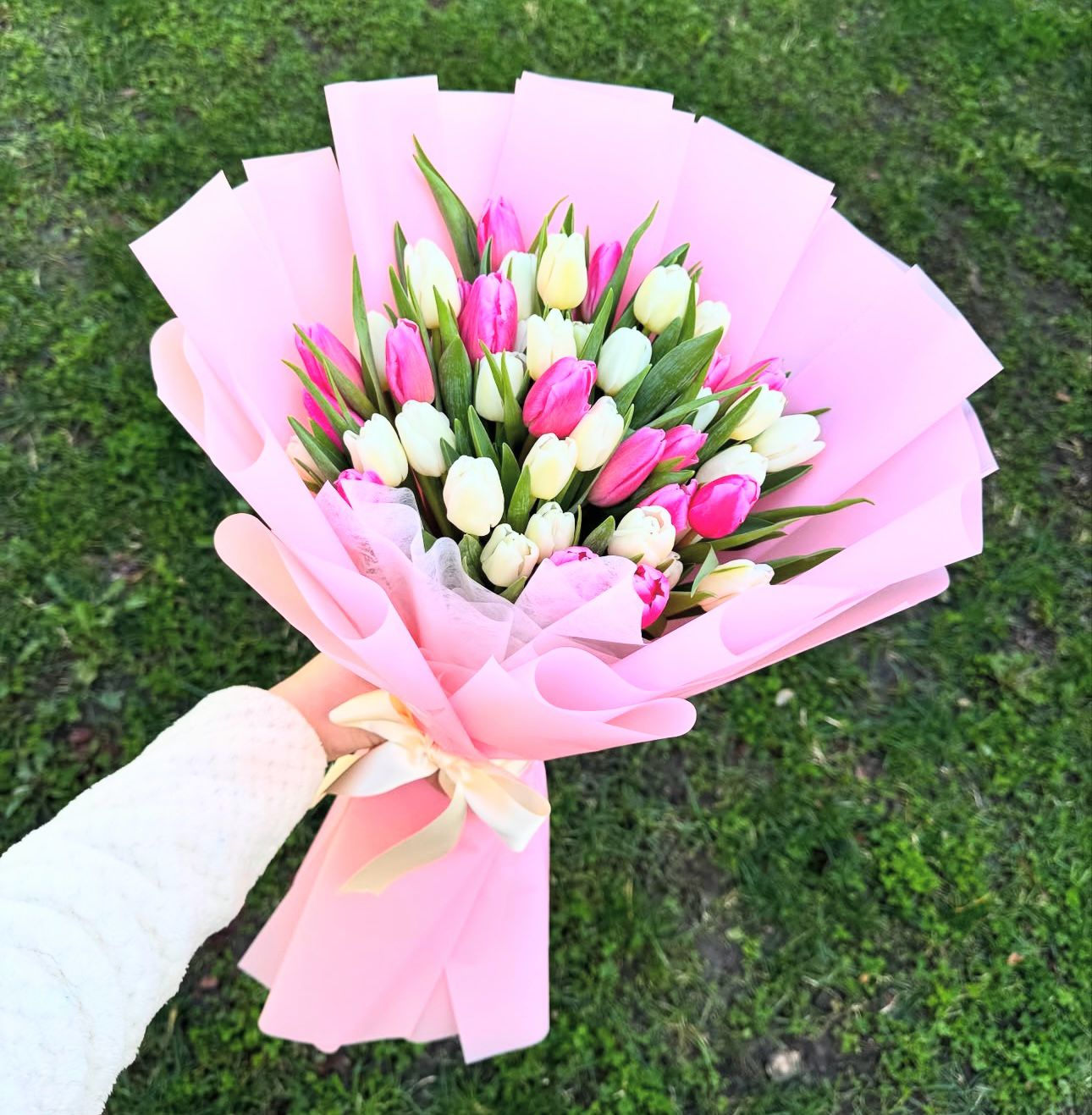 40 White & Pink Tulips